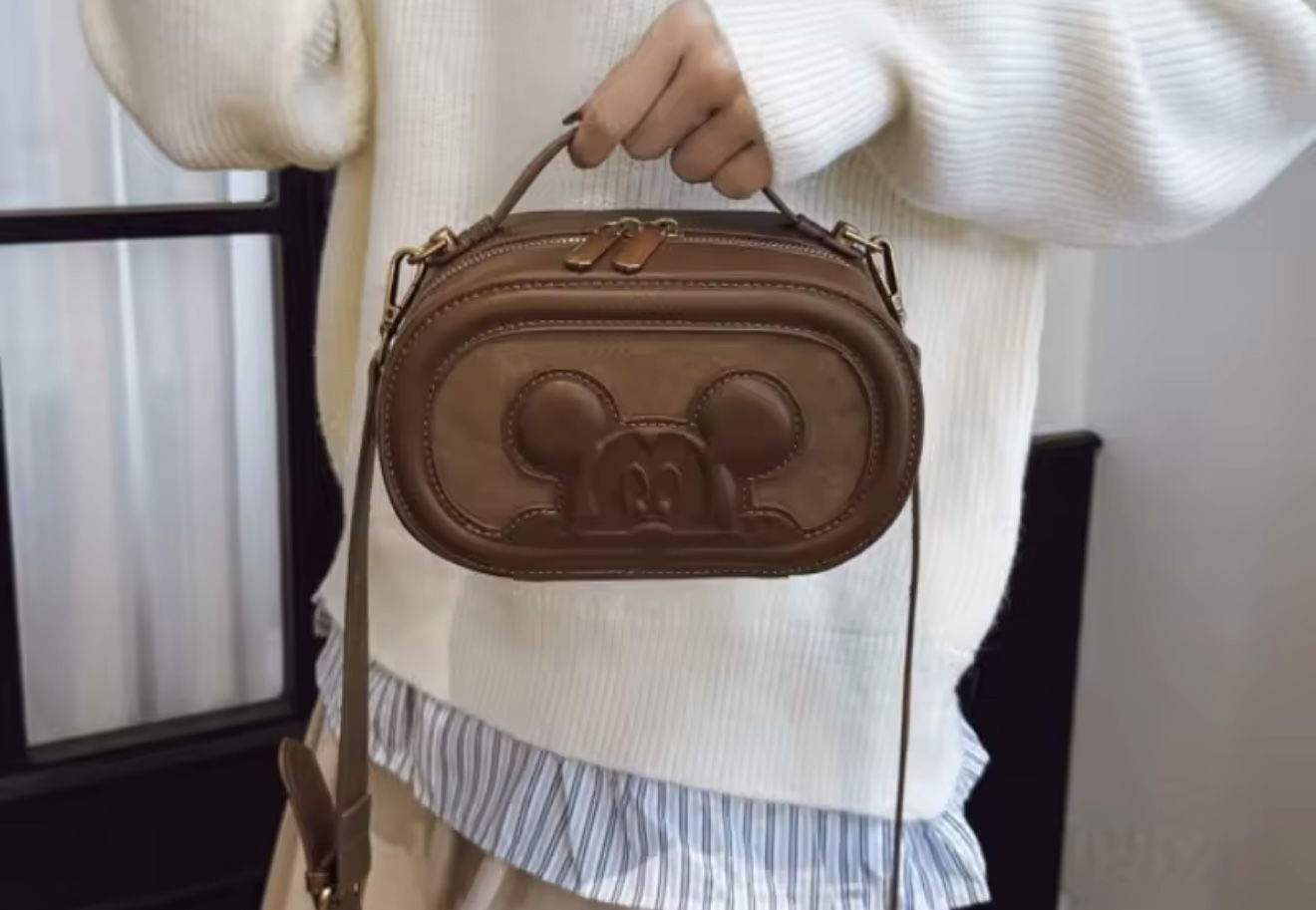 Mickey Mouse Bag