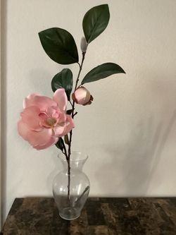 Beautiful Pink  Flower