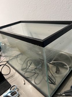 10 gallon fish tank
