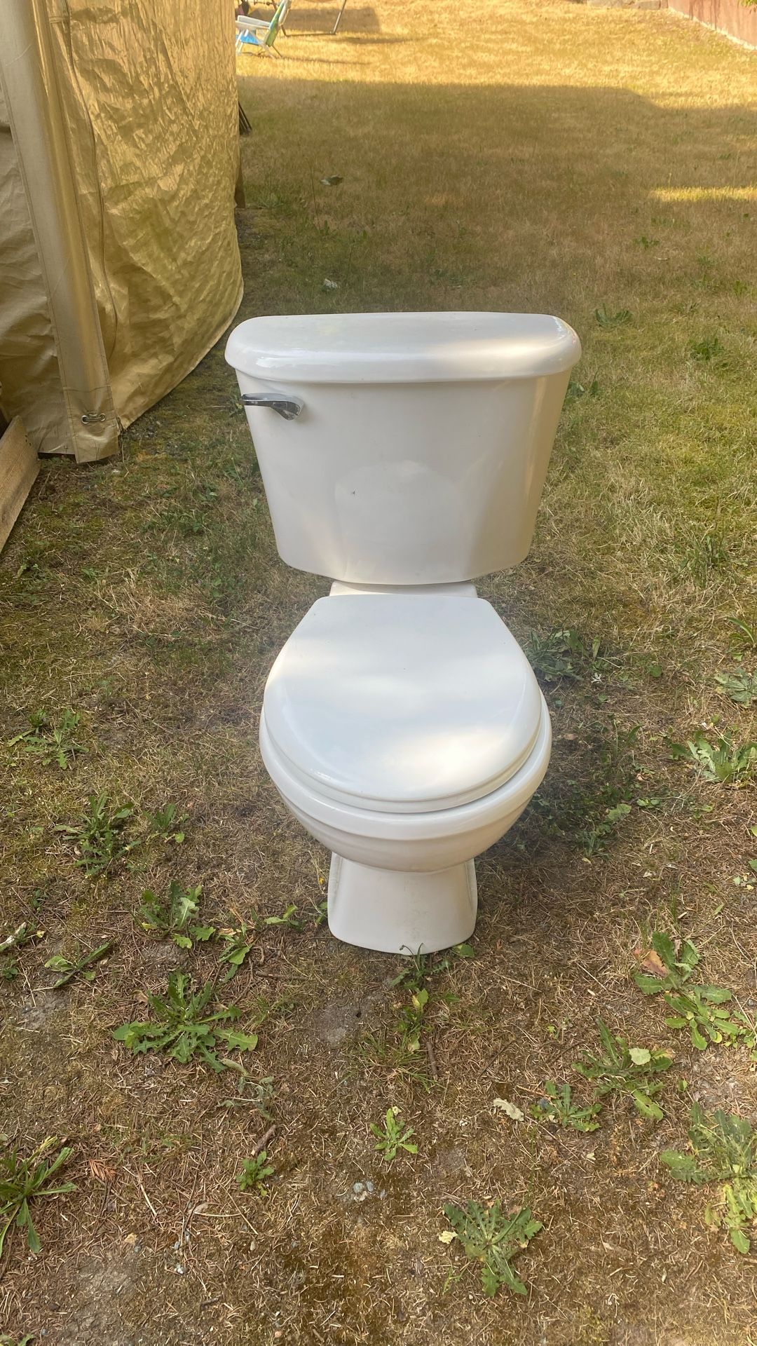 Toilet