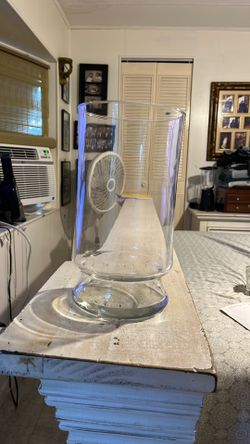 Clear Glass 10” Vase 
