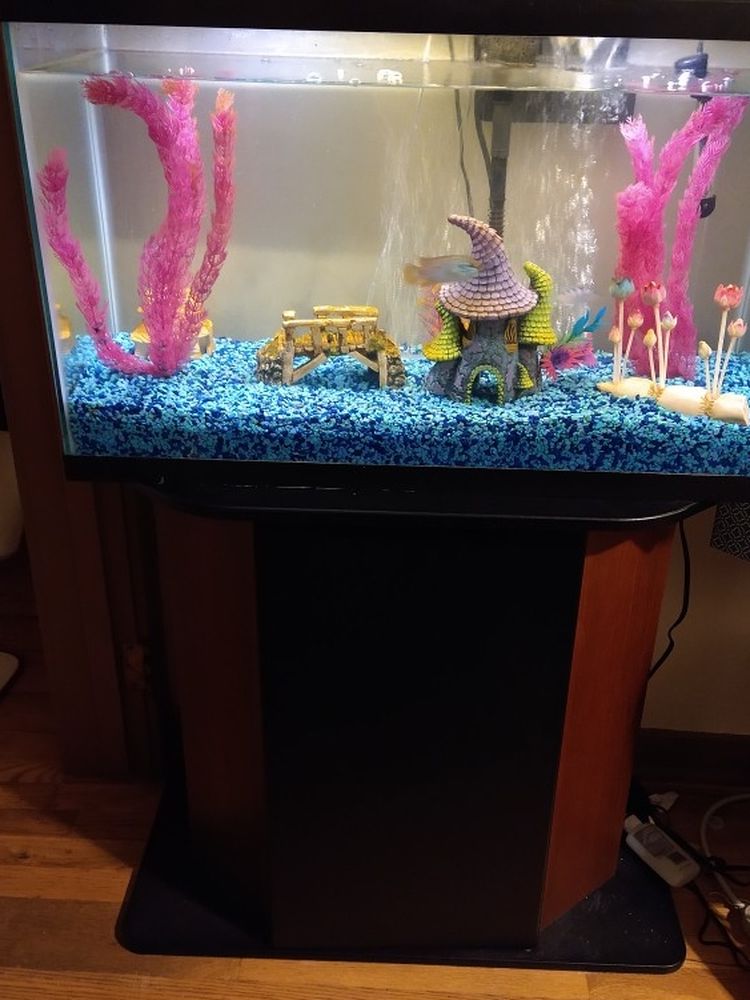29gal Fish Tank And Stand