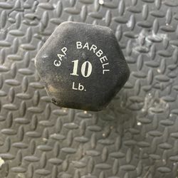 10 Pound Dumbbell 