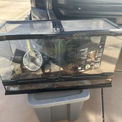 Reptile Terrarium