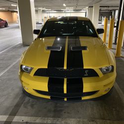 2007 Ford Shelby Gt500