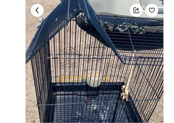 Cage  for spicy Finch