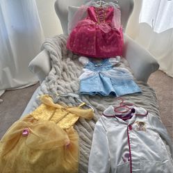 Disney Princess Dresses