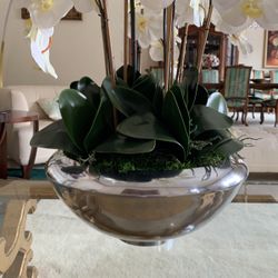 New Vase Large Open Box $350 Obo