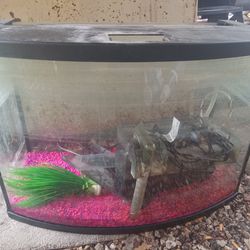 37 Gallon  Bow Front Aquarium With Gravel Plants Heater And Fluval  Hob Filter