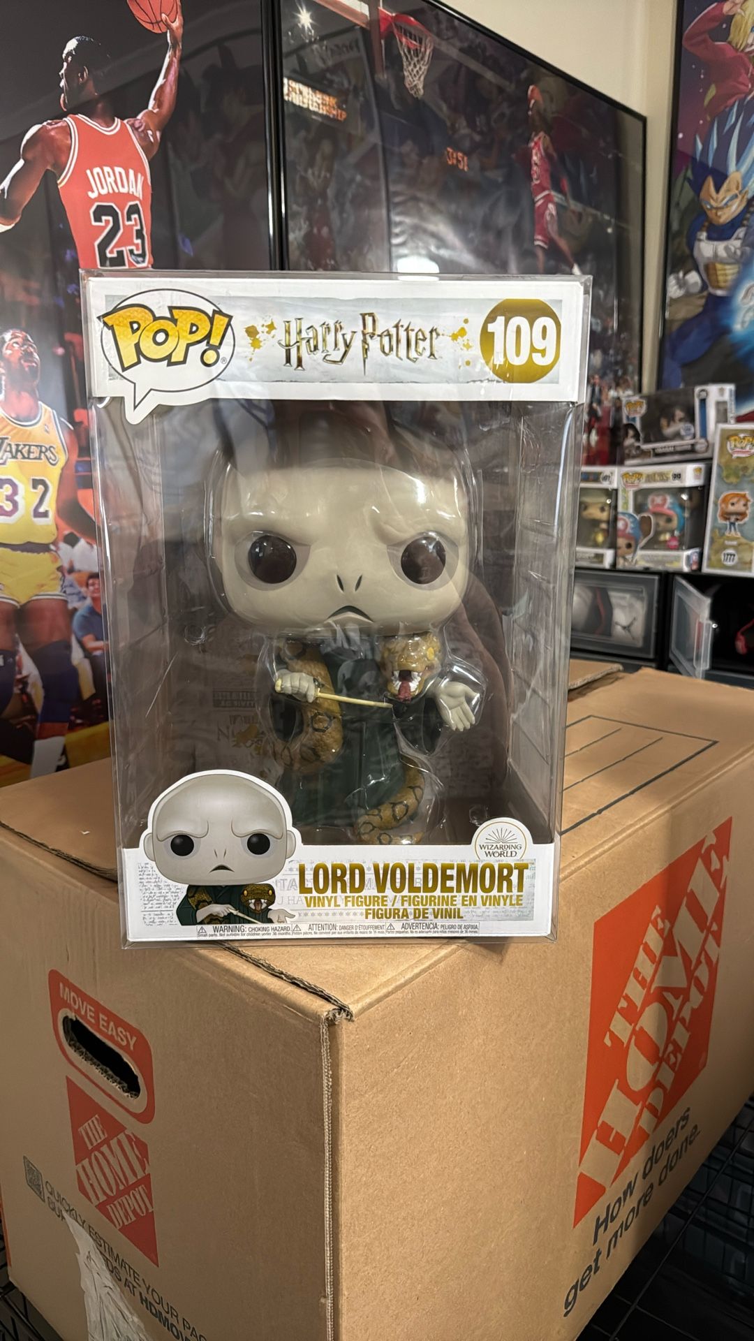 Lord Voldemort 