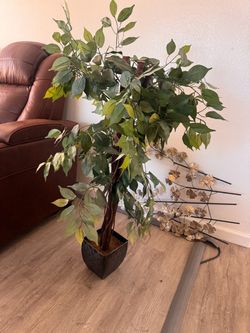 Large Artificial Ficus Tree with Pot