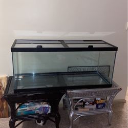 75 Gallon Aquarium