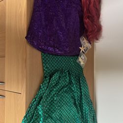 Little Mermaid Costume