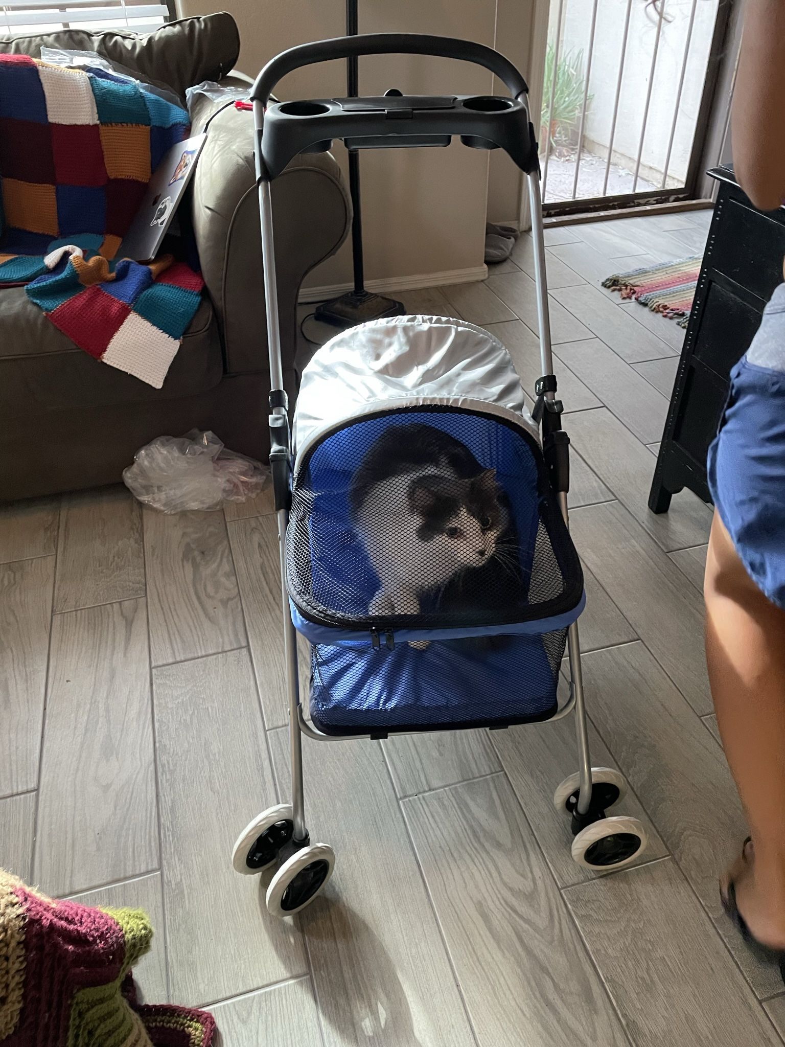 Cat Stroller Brand New