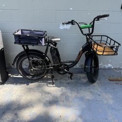 Rad Electric Bike 