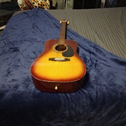 Guitar