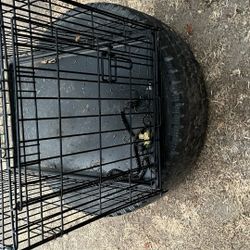 Dog Cage