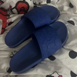 Mens Coach Slides 