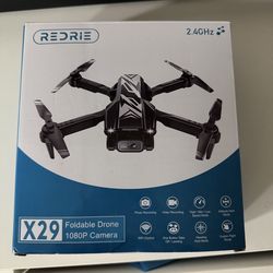Drone Redrie X29