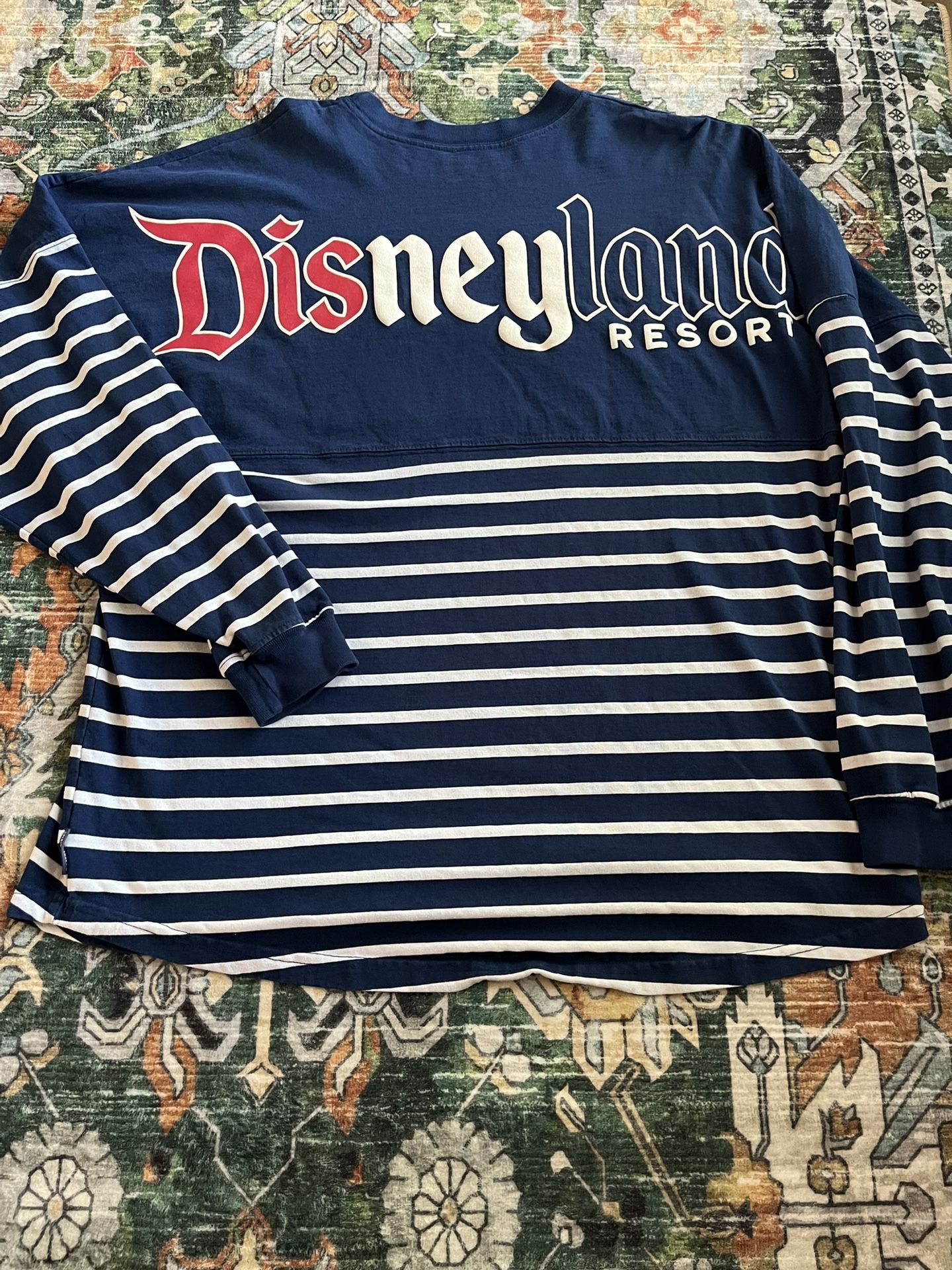 Disney Spirit Jersey