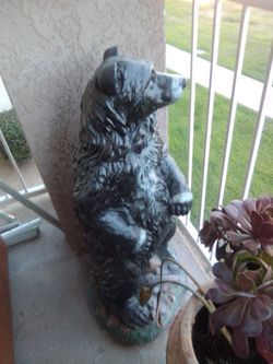 3 foot Black bear.