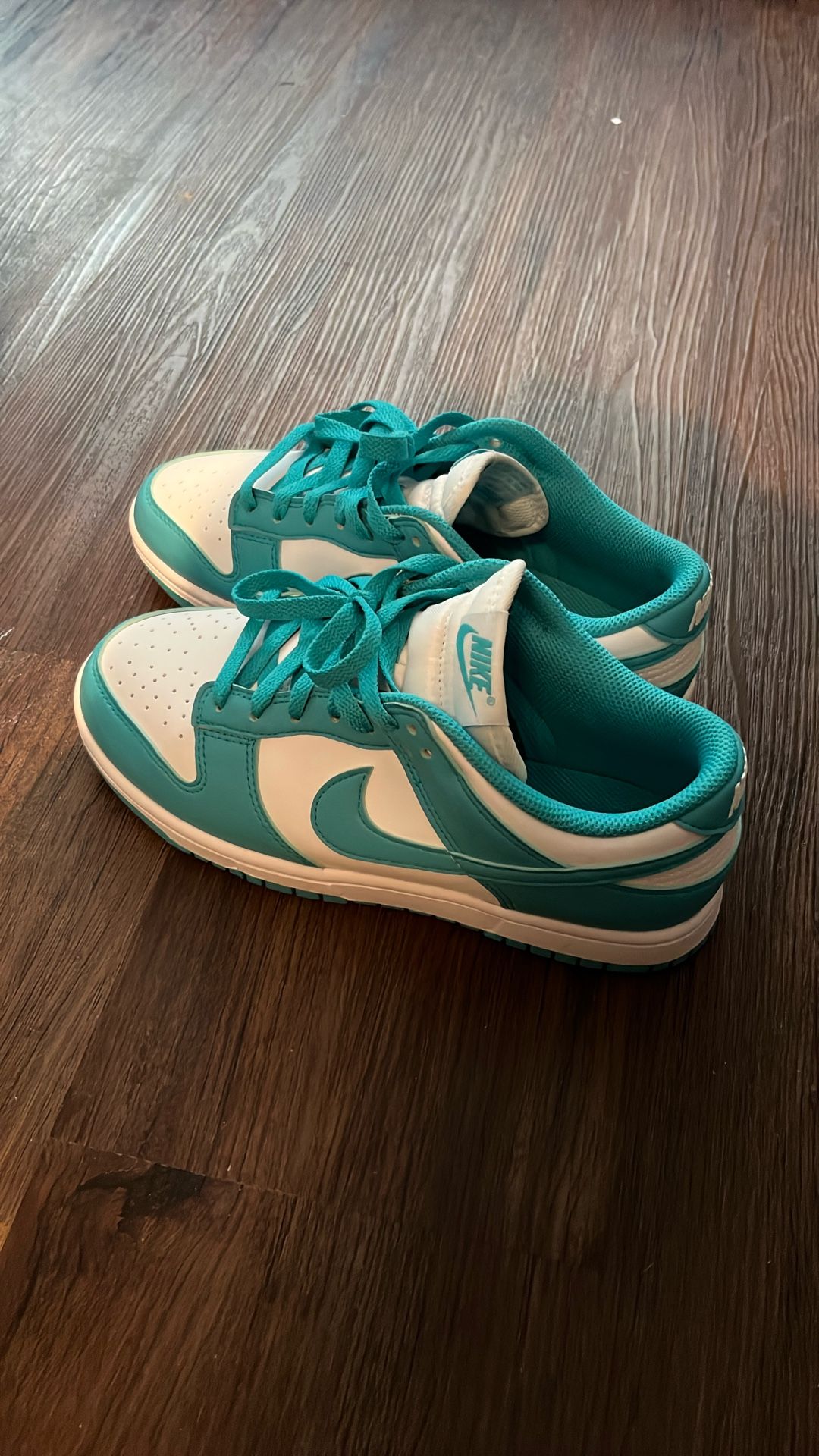 Nike Dunks Turquoise