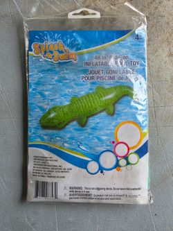 Pool float