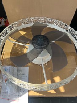 Ceiling fan with light 💡