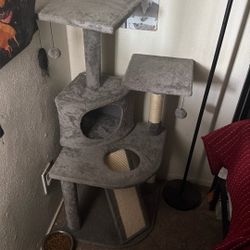 Cat Tower 