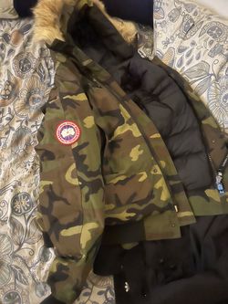 Canada Goose