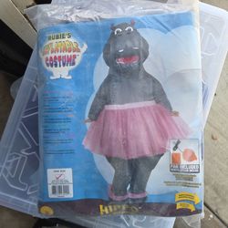 Inflatable custume