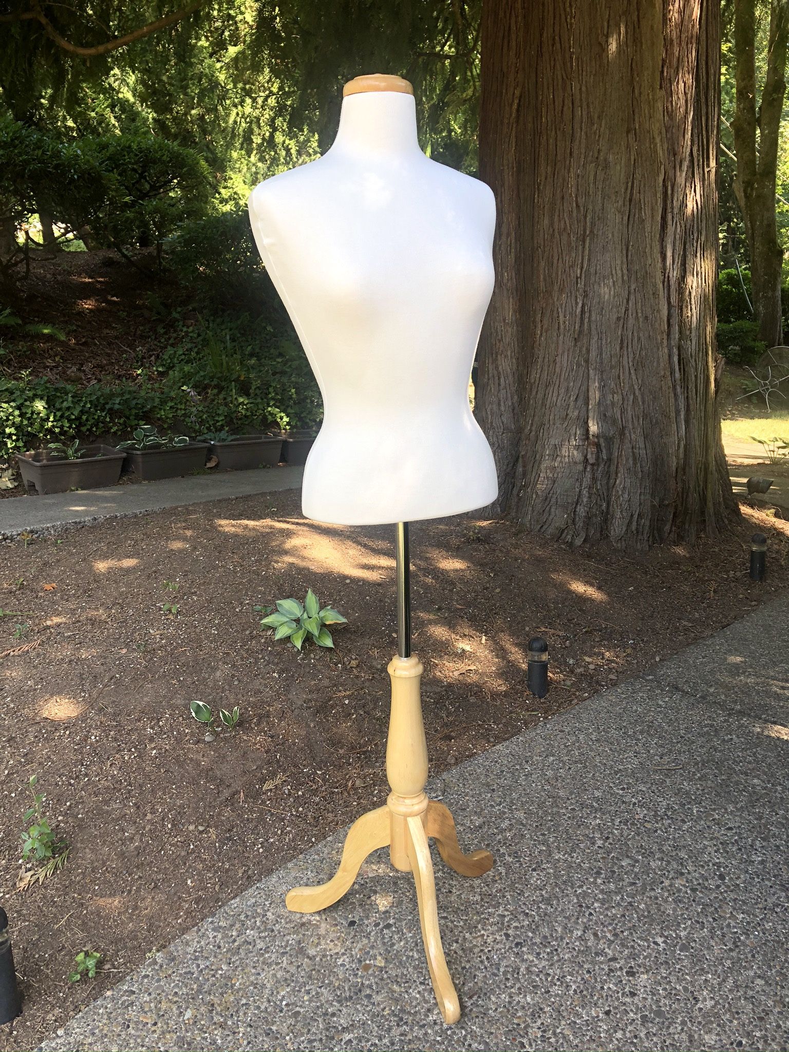  Female Dress Form Mannequin Stand, Height Adjustable Body, Wooden Base Clothing Forms for Displays Clothes,Torso Model
