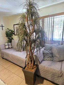 Artificial plant beautiful 7ft