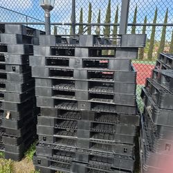 Plastic Pallets