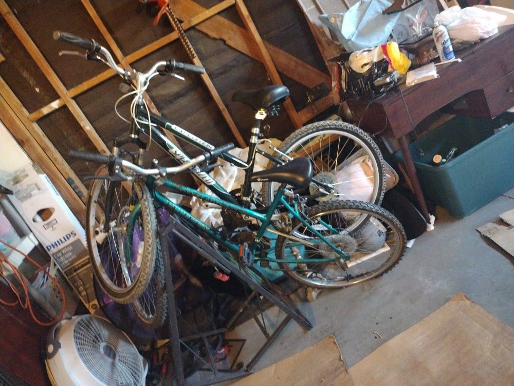 3 Bikes  One Kids And Other  Two Adults 