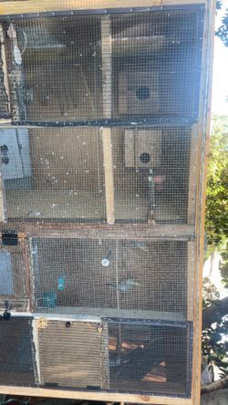 Bird cage