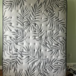Queen Mattress 