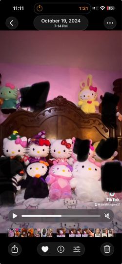 Hello kitty greeters