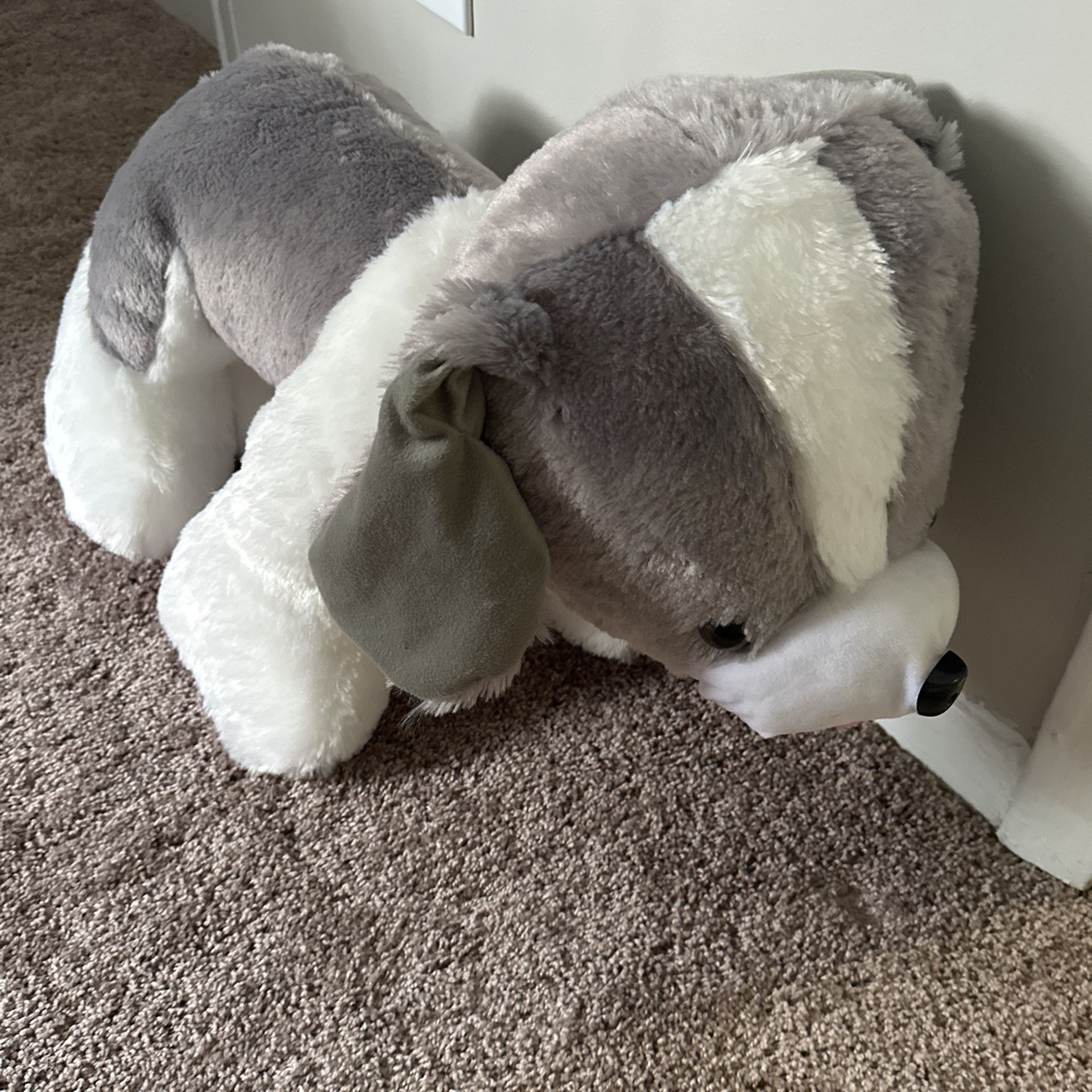 Large Stuffed Animal (dog)