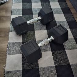 Dumbbells  20 Pounds 