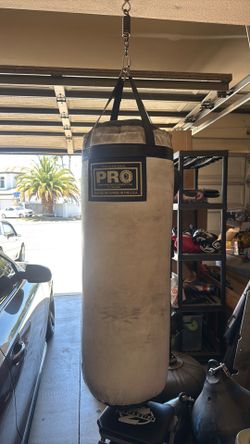 Pro Boxing Heavy Bag