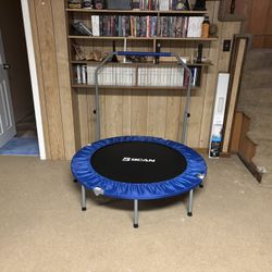 Exercise Trampoline 