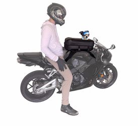 Motorcycle Tank Bag Pet Carrier
