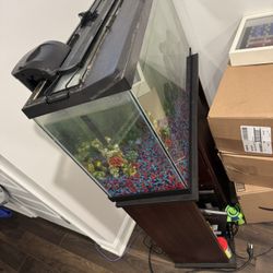 44 gal Fish Tank (PICK UP ONLY)