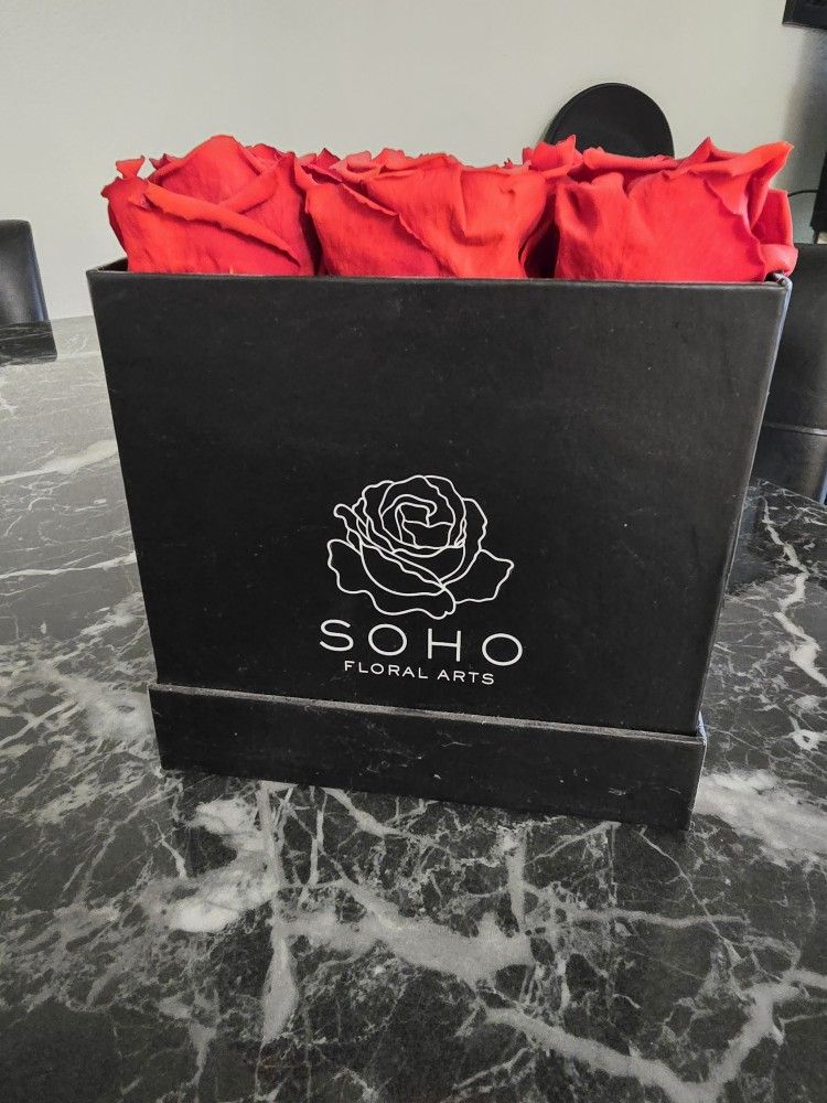Soho Dried Roses