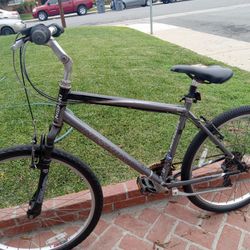 Nishiki Bike Needs Brake Handles Repaired