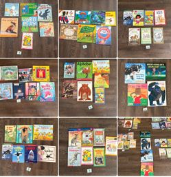 Teachers- Picture book lots for kids