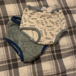 5T Training Underwear 