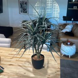 Faux Plant-36” Tall