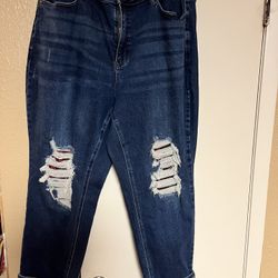 Woman’s Judy Blue Jeans 